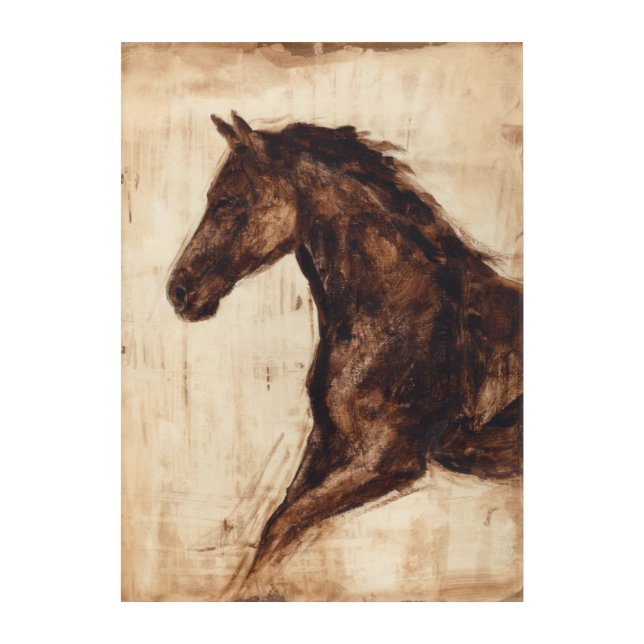 Profile of Brown Wild Horse Acrylic Print (Front)
