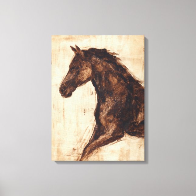 Profile of Brown Wild Horse Canvas Print (Front)