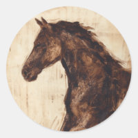 Profile of Brown Wild Horse