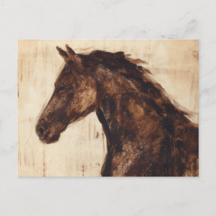 Profile of Brown Wild Horse Postcard