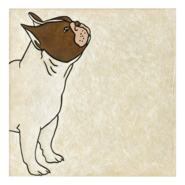 Profile of French Bulldog Looking Up Acrylic Print (Front)