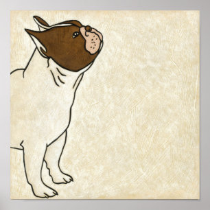 Profile of French Bulldog Looking Up Poster