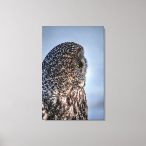 Profile of Great Gray Owl Wildlife Photo Portrait Canvas Print