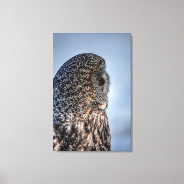 Profile of Great Gray Owl Wildlife Photo Portrait Canvas Print (Front)