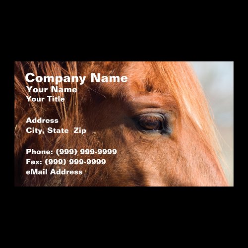 Profile of Horse Business Card