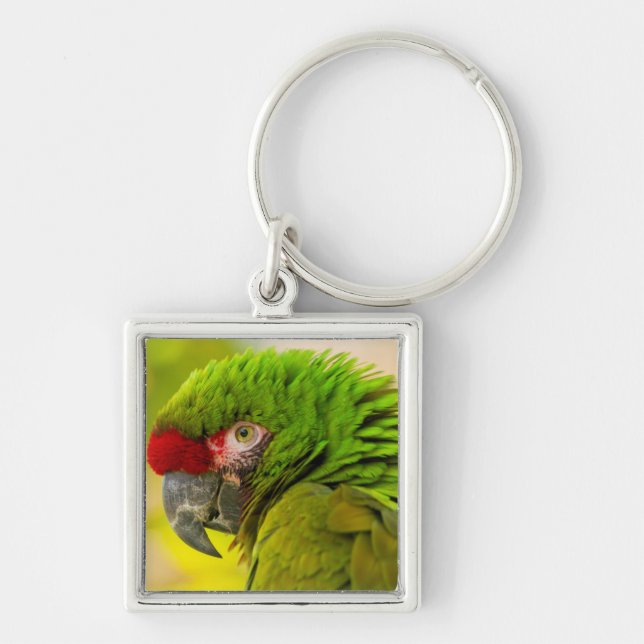 Profile of macaw at Santa Barbara Zoo Keychain (Front)