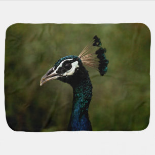 Profile of Peacock Baby Blanket