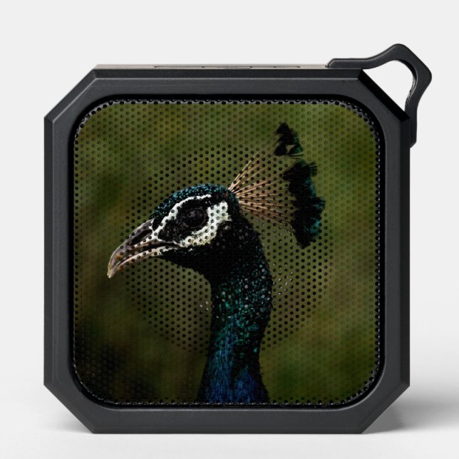 Profile of Peacock  Bluetooth Speaker (Front)