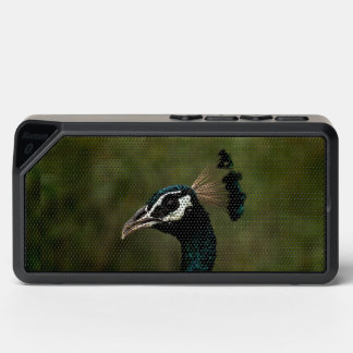 Profile of Peacock Bluetooth Speaker