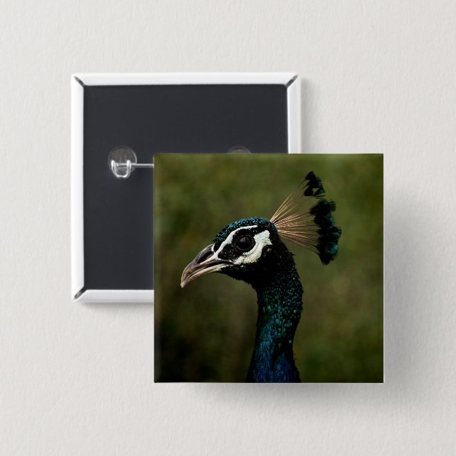 Profile of Peacock  Button (Front & Back)