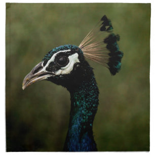 Profile of Peacock Cloth Napkin