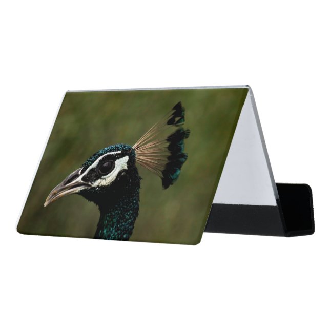 Profile of Peacock  Desk Business Card Holder (Angled Back)