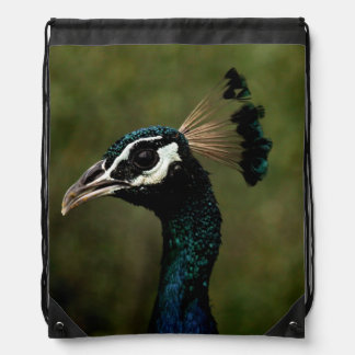 Profile of Peacock  Drawstring Bag