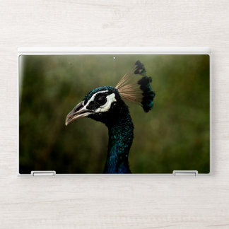 Profile of Peacock HP Laptop Skin