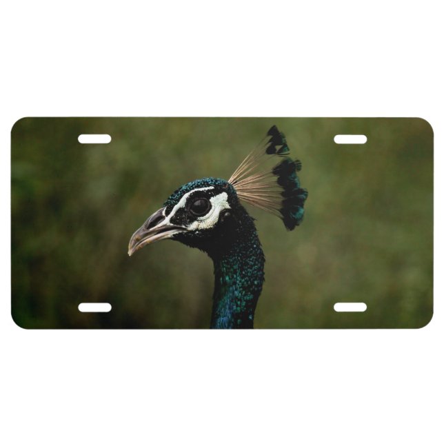 Profile of Peacock  License Plate (Front)
