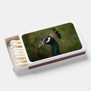 Profile of Peacock  Matchboxes