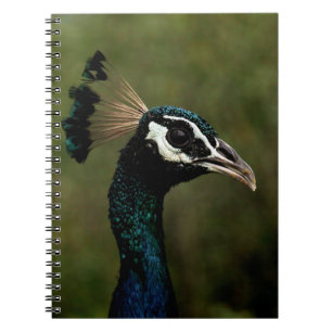 Profile of Peacock  Notebook