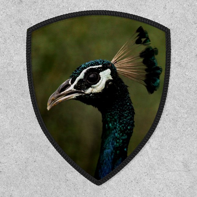 Profile of Peacock  Patch (Front)