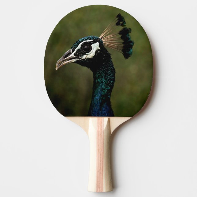Profile of Peacock  Ping Pong Paddle (Front)