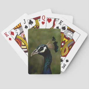 Profile of Peacock  Poker Cards
