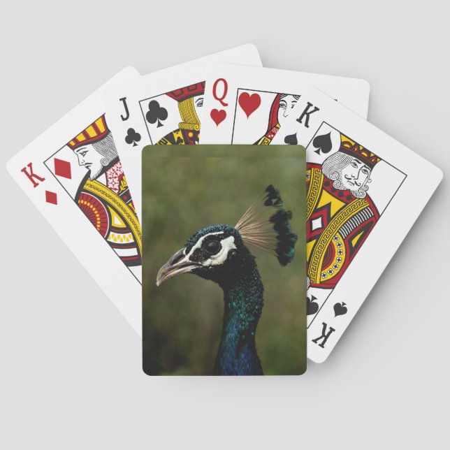 Profile of Peacock  Poker Cards (Back)