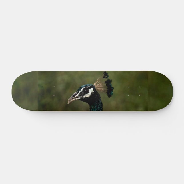 Profile of Peacock  Skateboard (Horz)