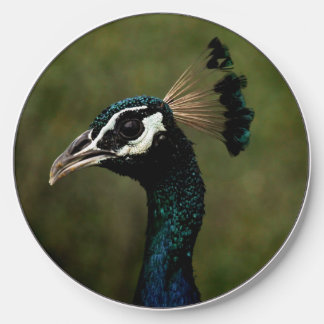 Profile of Peacock Wireless Charger