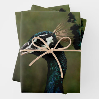 Profile of Peacock  Wrapping Paper Sheets