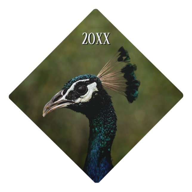 Profile of Peacock Year Graduation Cap Topper (Front)