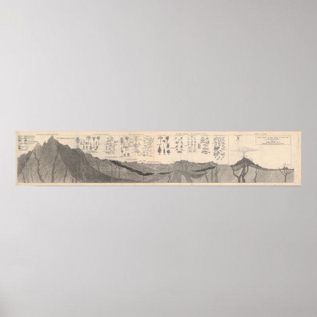 Profile of rocks in the Earth's history Poster (Front)