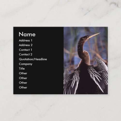 profile or business card, anhinga