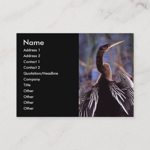 Customizable profile or business card, anhinga