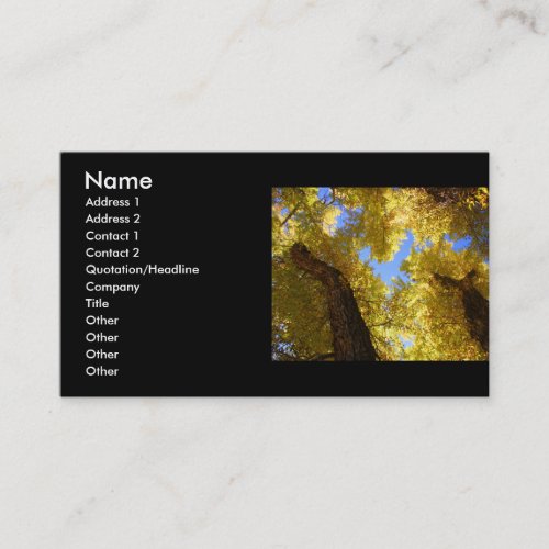 profile or business card, aspen