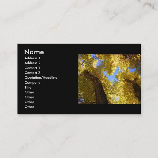 Customizable profile or business card, aspen