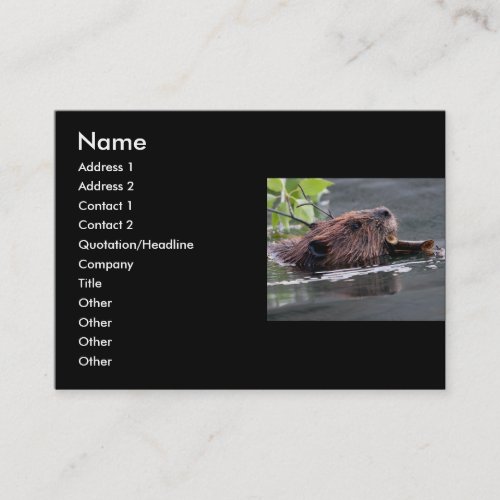 profile or business card, beaver