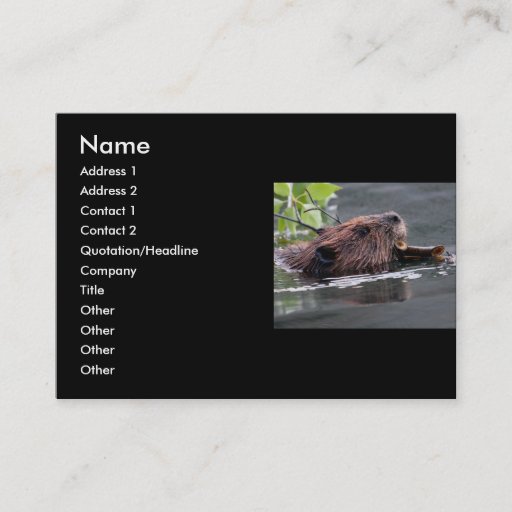 Customizable profile or business card, beaver