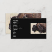 profile or business card, bison business card (Front/Back)