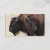 profile or business card, bison business card (Back)