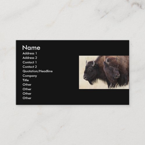 profile or business card, bison