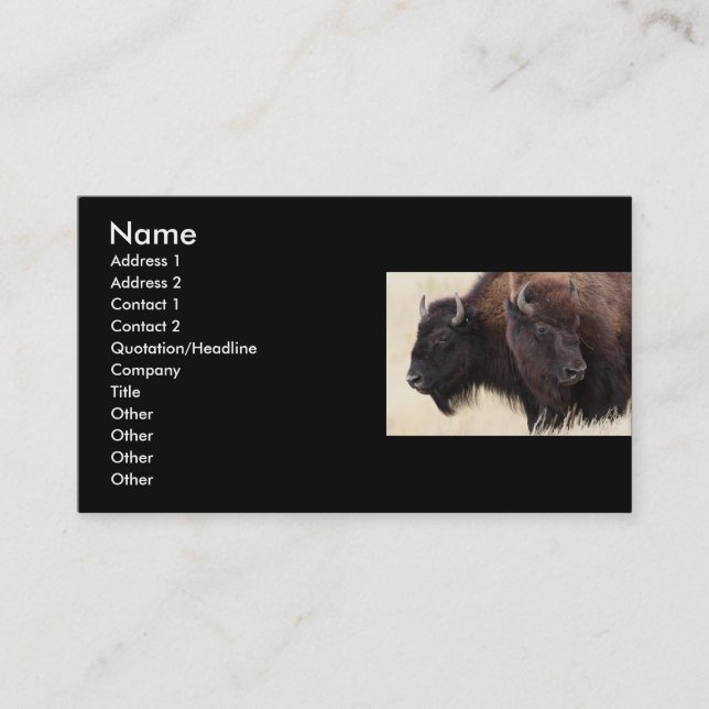 profile or business card, bison business card (Front)