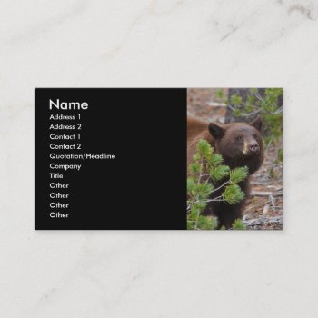 Profile Or Business Card  Black Bear Business Card by WorldDesign at Zazzle