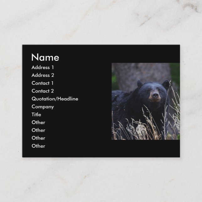 profile or business card, black bear card (Front)
