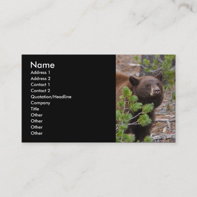 profile or business card, black bear card (Front)