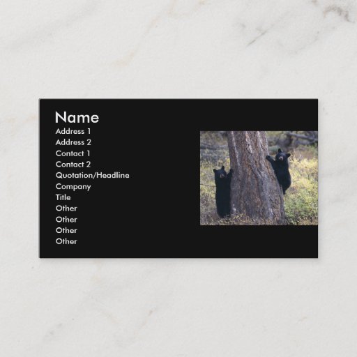 Customizable profile or business card, black bear cubs