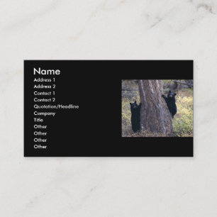 profile or business card, black bear cubs card