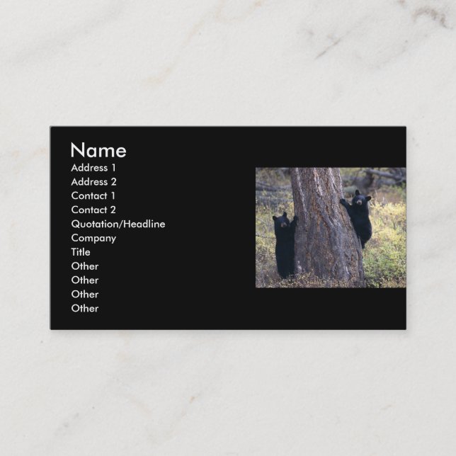 profile or business card, black bear cubs card (Front)