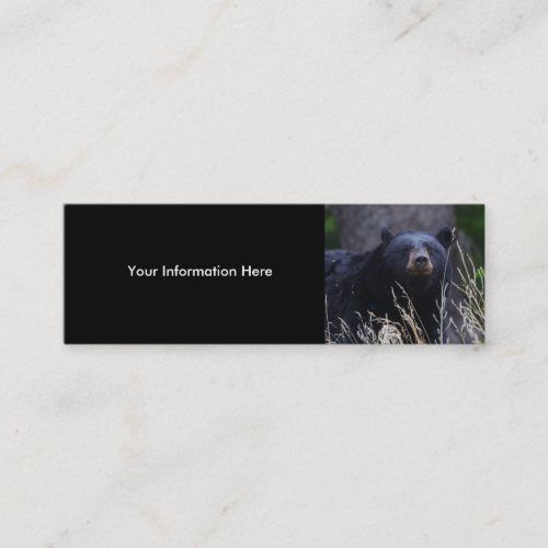 profile or business card, black bear