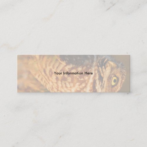 profile or business card, burrowing owl