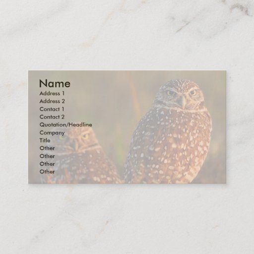 Customizable profile or business card, burrowing owls