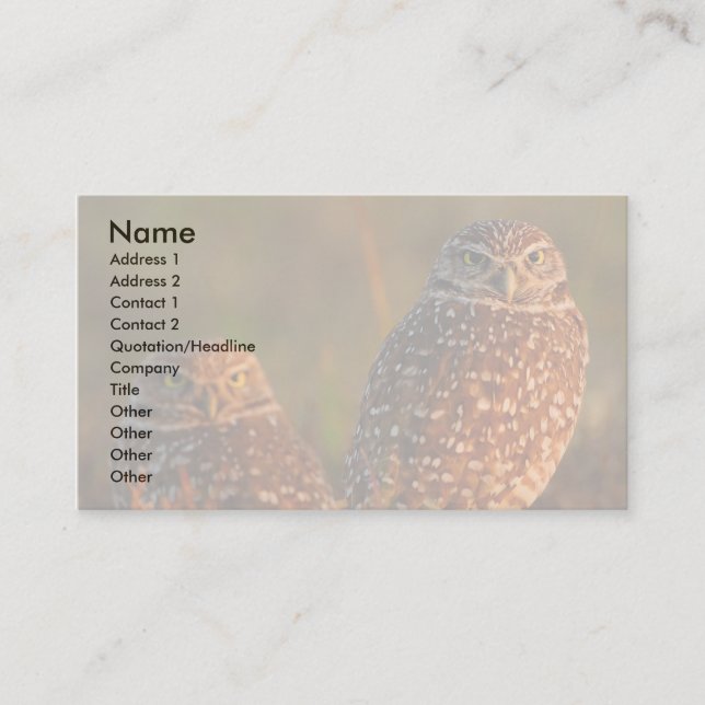 profile or business card, burrowing owls card (Front)